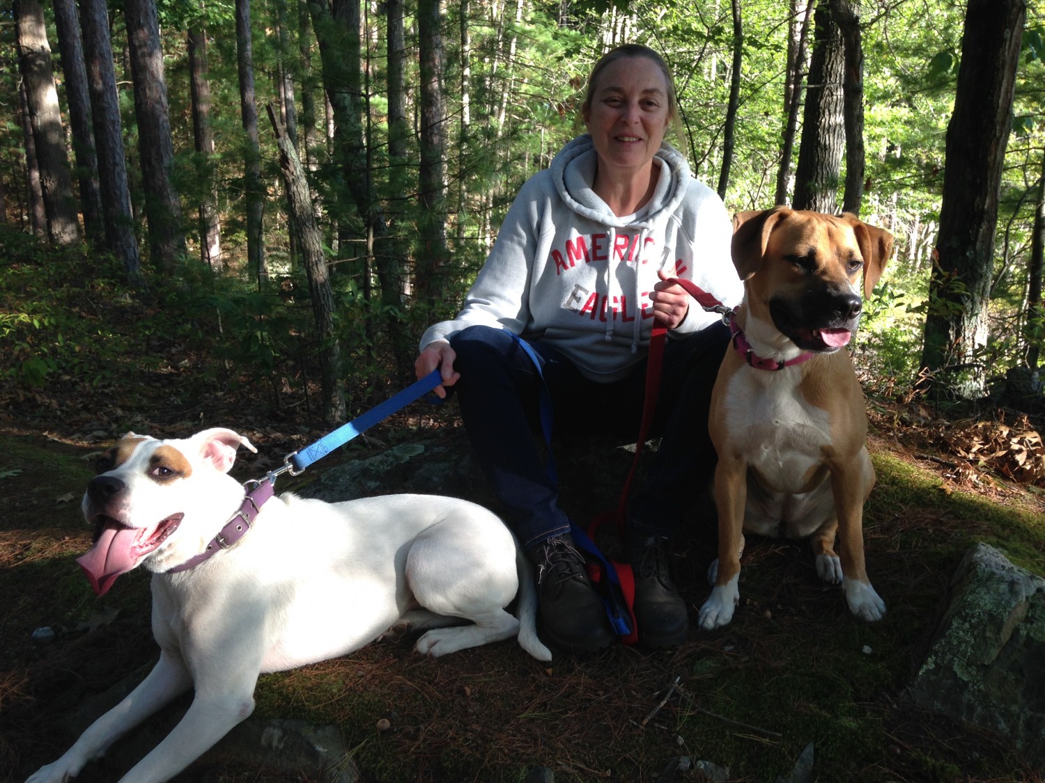 Putnam Veterinary Clinic Topsfield, MA Our Staff